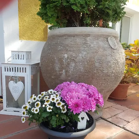 Appartement Eden - Garden